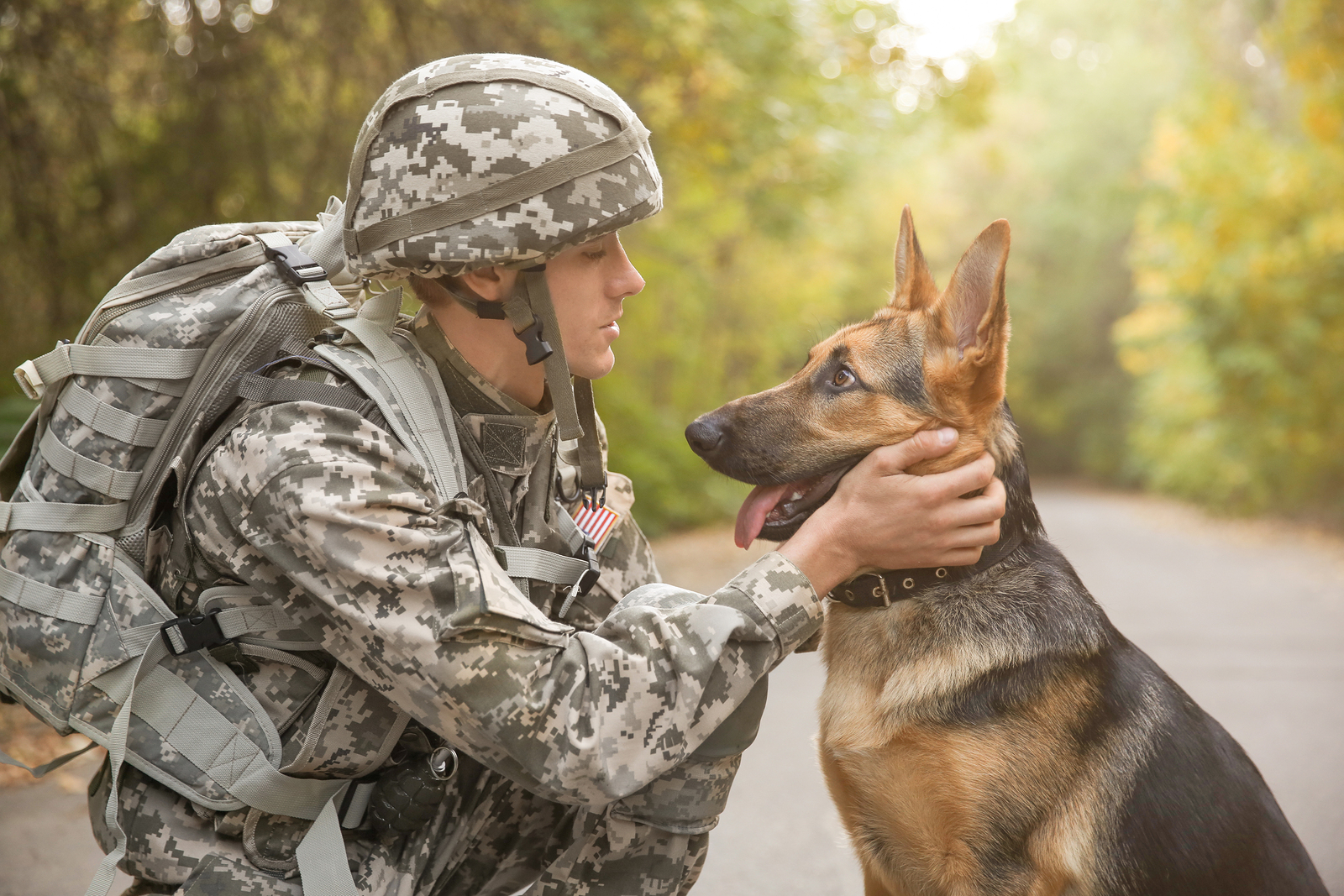 Клички военных собак
