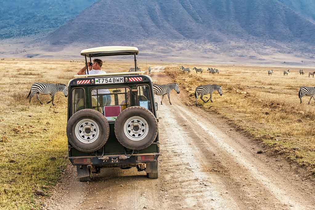 In Tansania werden Wildtiere von den Touristen verdrängt – Foto: Bigstock