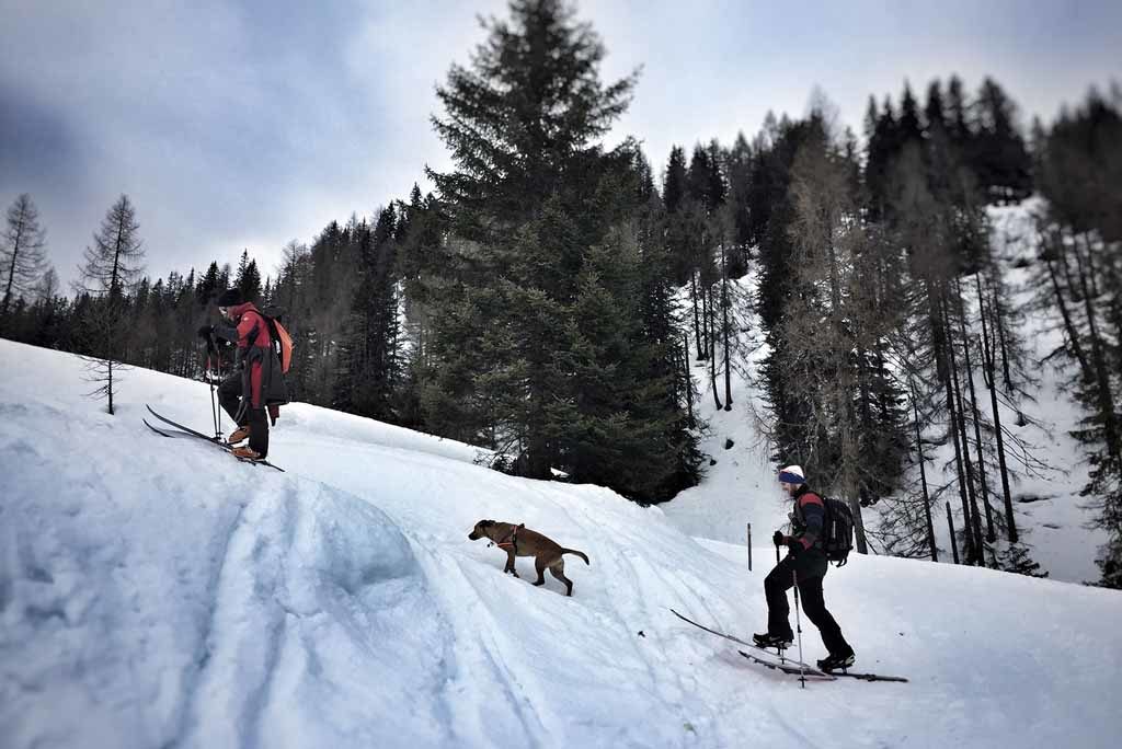 Obertauern – Gipfel / Powder      Foto: Anika Giese