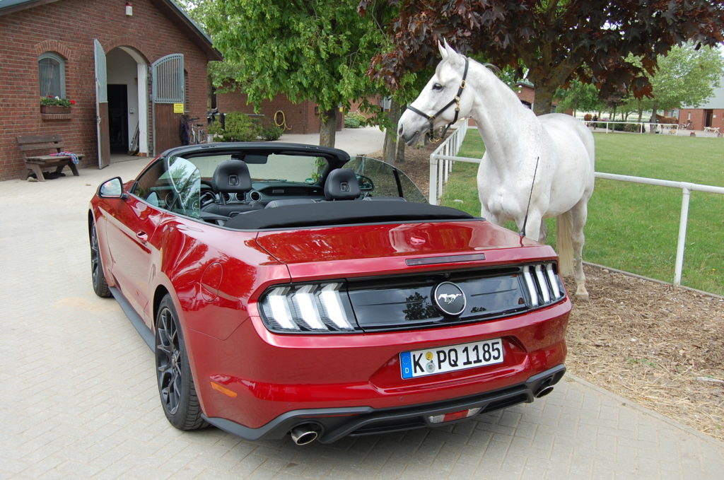 Ford Mustang Convertible Foto: F. Moritz