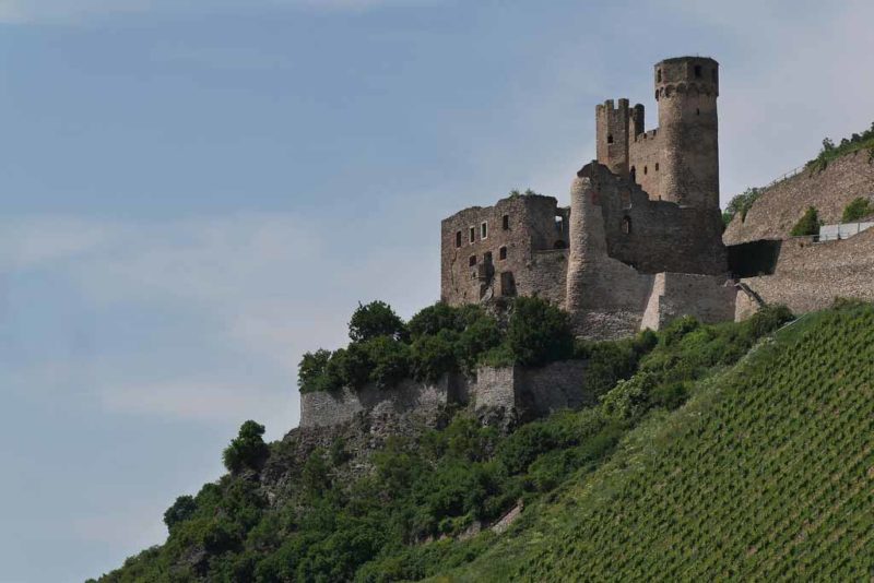 Die Burg Ehrenfels ist eine alte Ruine am Rüdesheimer Weinbergspfad
