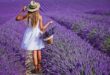 Young-girl-in-the-lavander